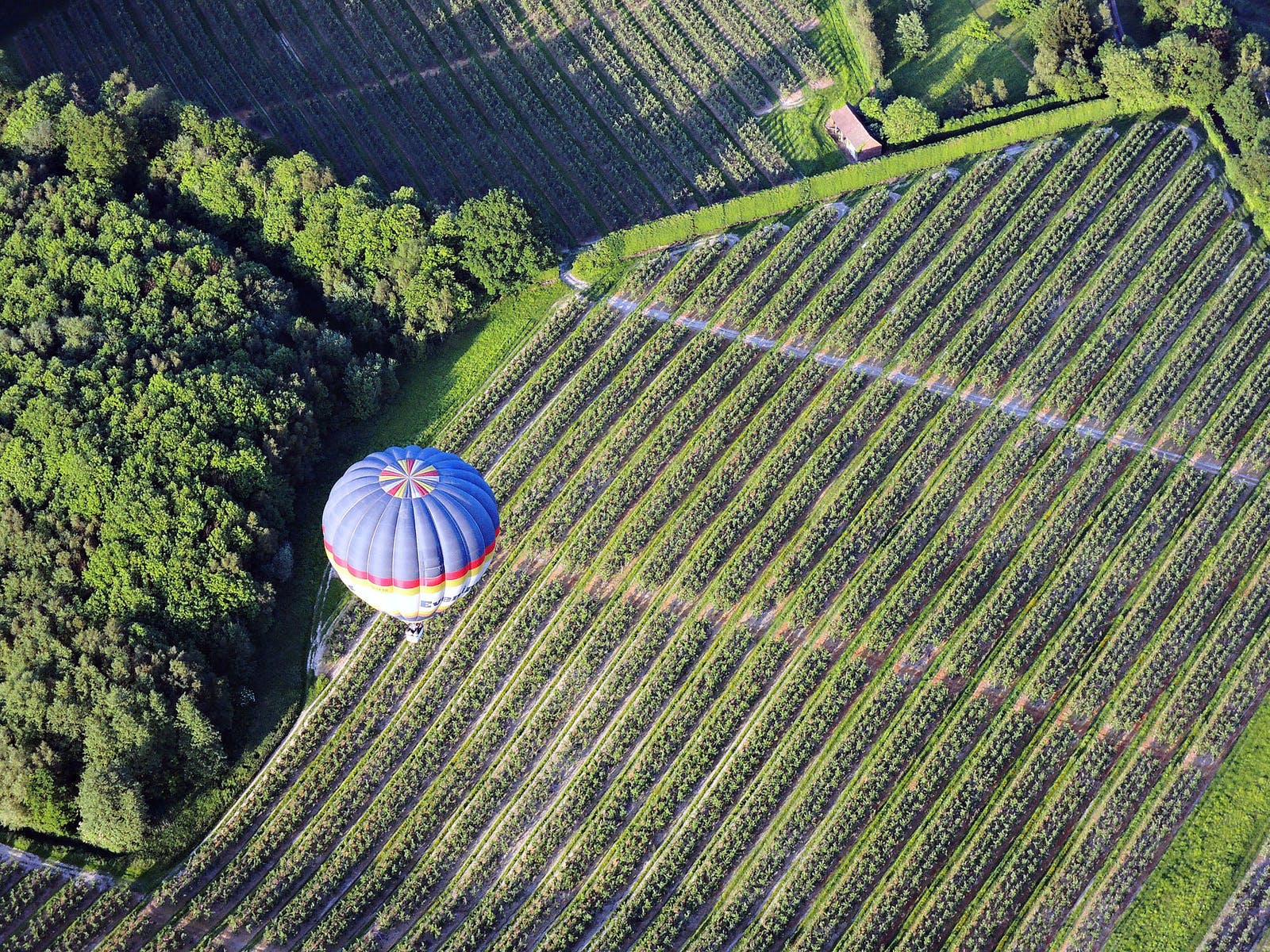 Cover Image for 4 Unbelievable Wine Regions