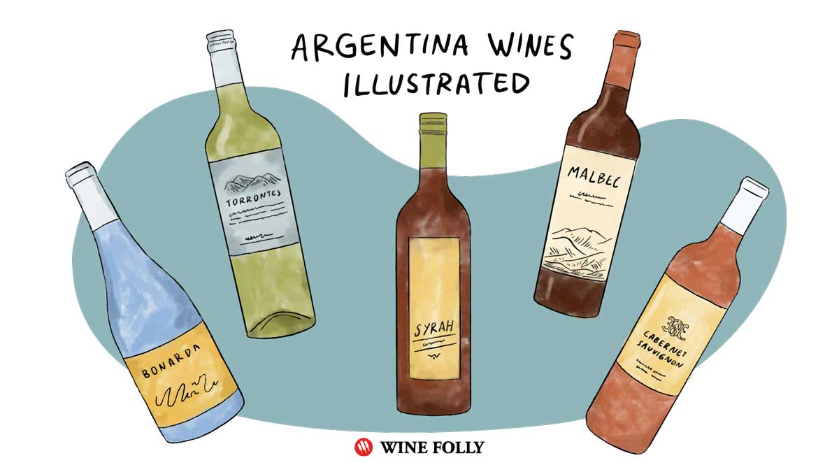 Wine Folly - Argentina 101 Wines