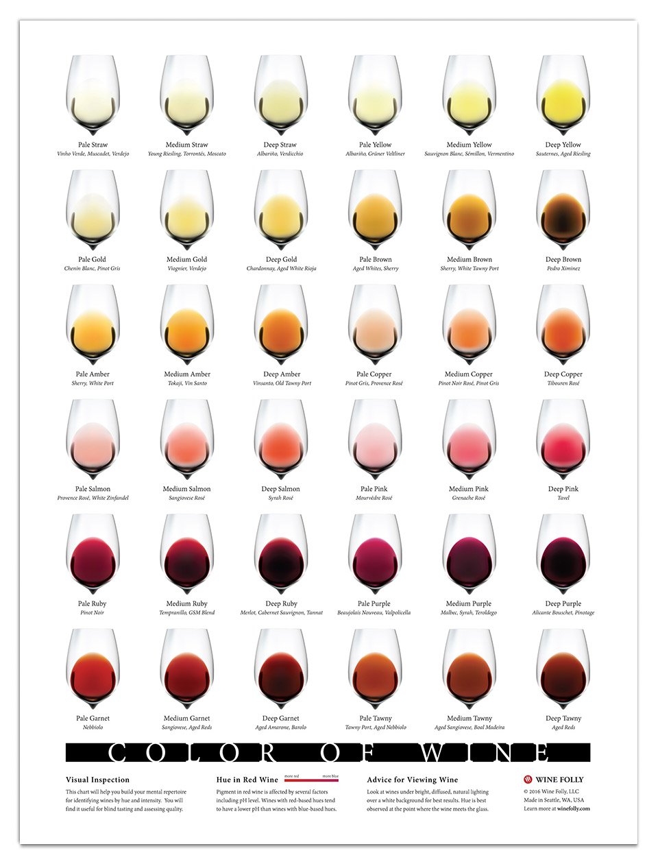 Color of Wine Poster - Wine Folly