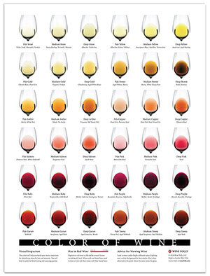 color of wine (small) Wine Folly