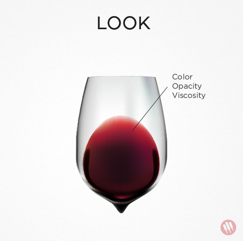 how to taste wine step 1 look red wine in a glass