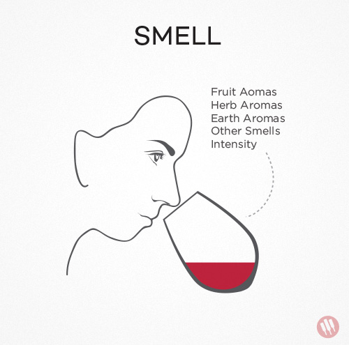 how to taste wine step 2 illustration of woman smelling a glass of wine