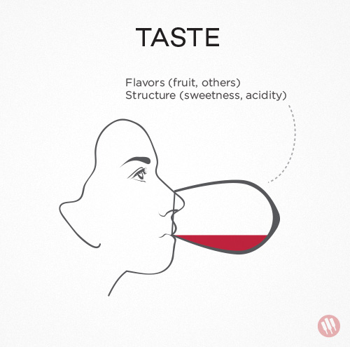 how to taste wine step 3 illustration of a woman tasting a glass of wine