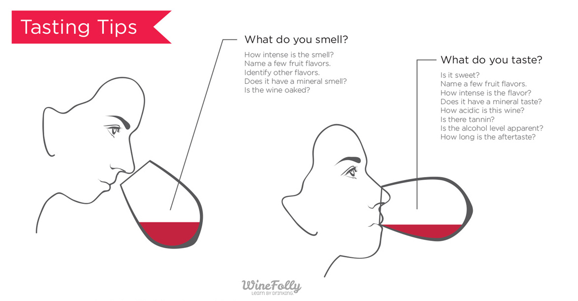 How to taste wine: tips and tricks