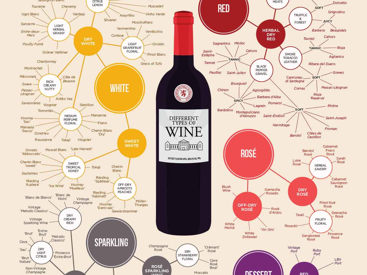 The Many Different Types of Wines