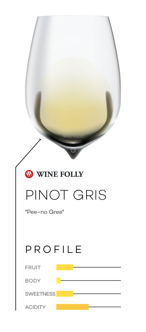 Pinot Gris wine in a glass with taste profile and pronunciation