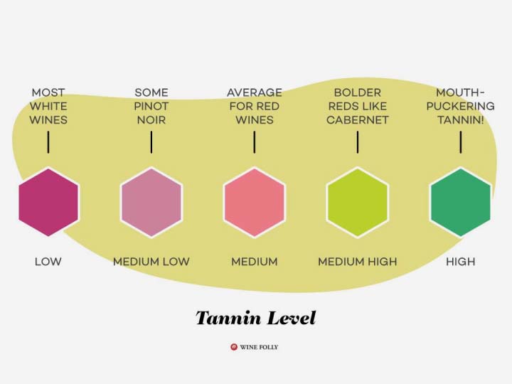 Understand Tannins in Wine