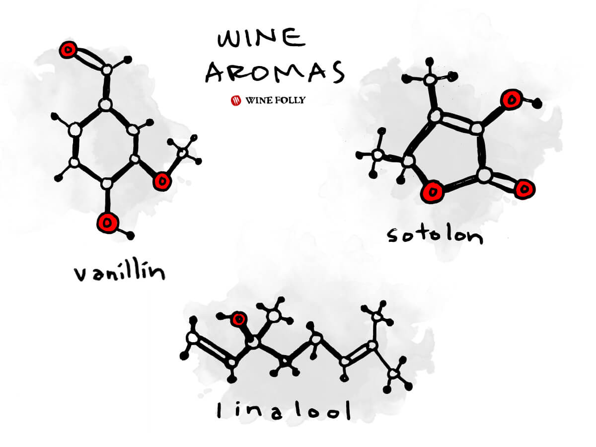 wine-aroma-molecules-examples-illustration-winefolly