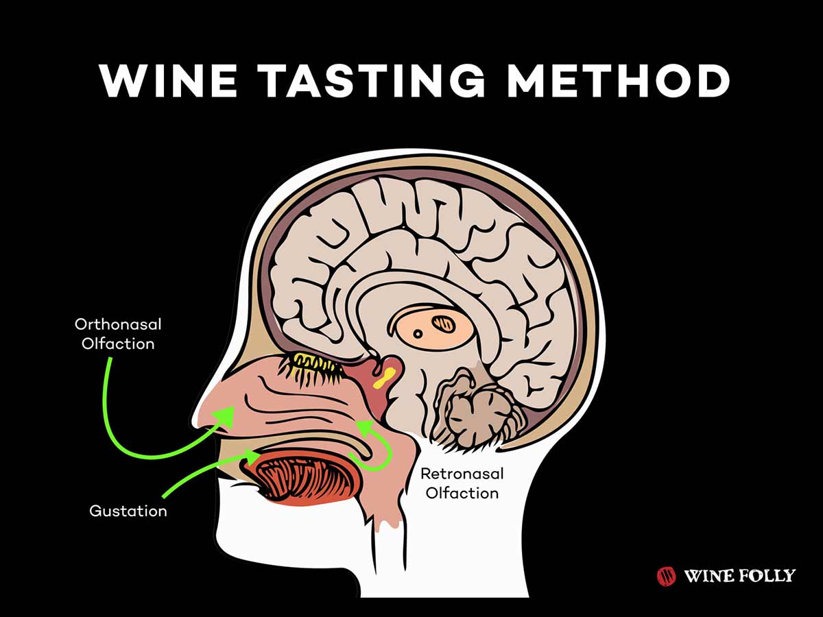 The Wine Tasting Method