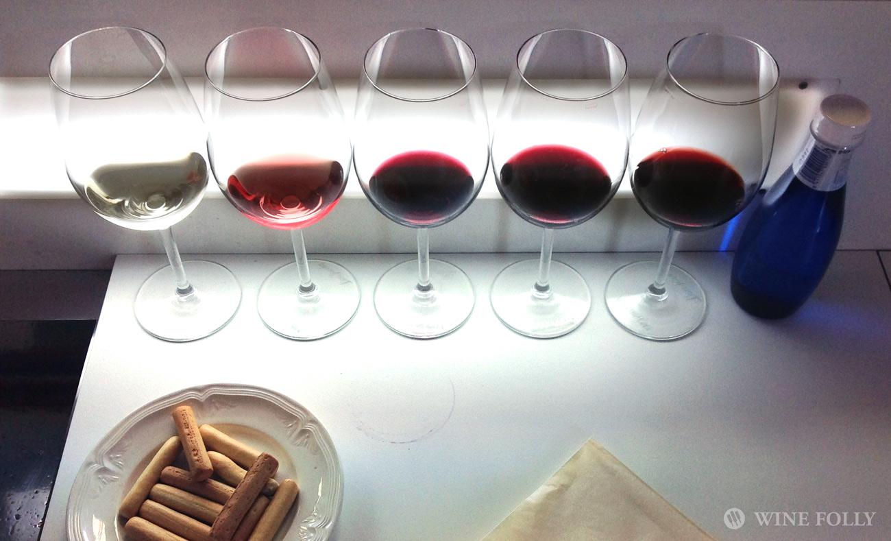 wine-tasting-professional-analysis-station
