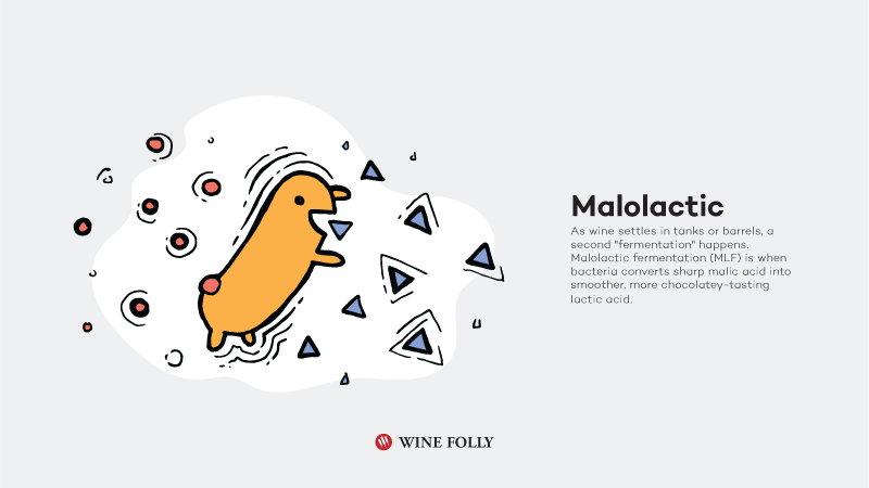 How-Red-Wine-Is-Made-malolactic