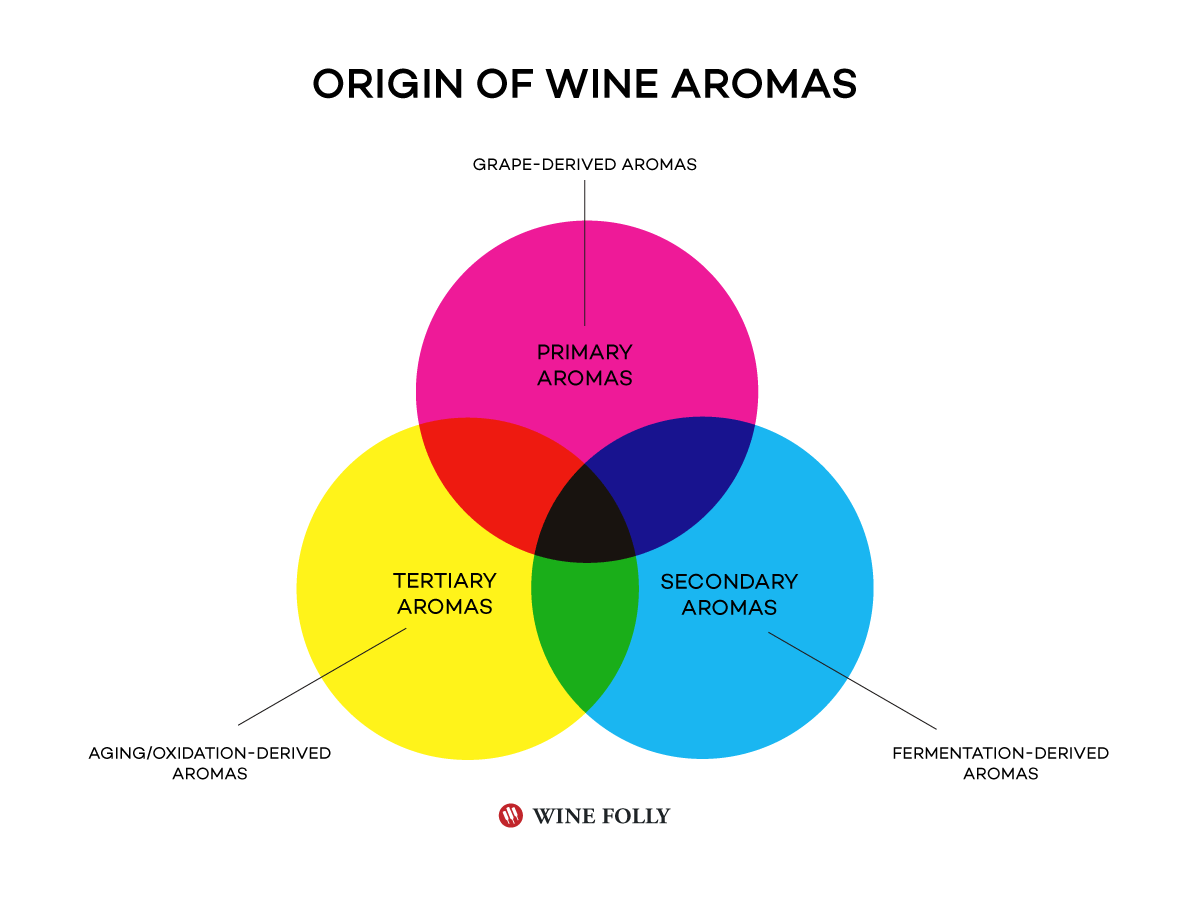 How aromas in wine are derived / where they originate from